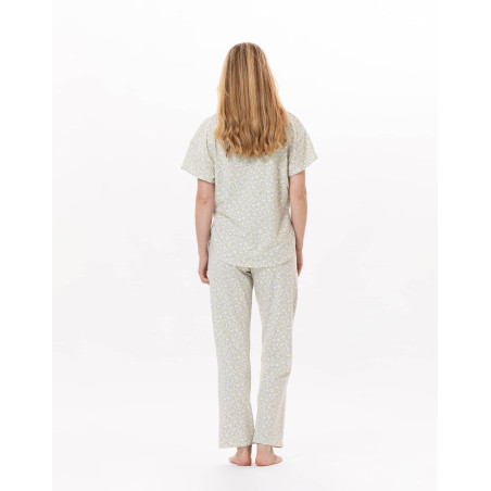 Pyjama en coton CALISSON 902 Anis | Lingerie le Chat